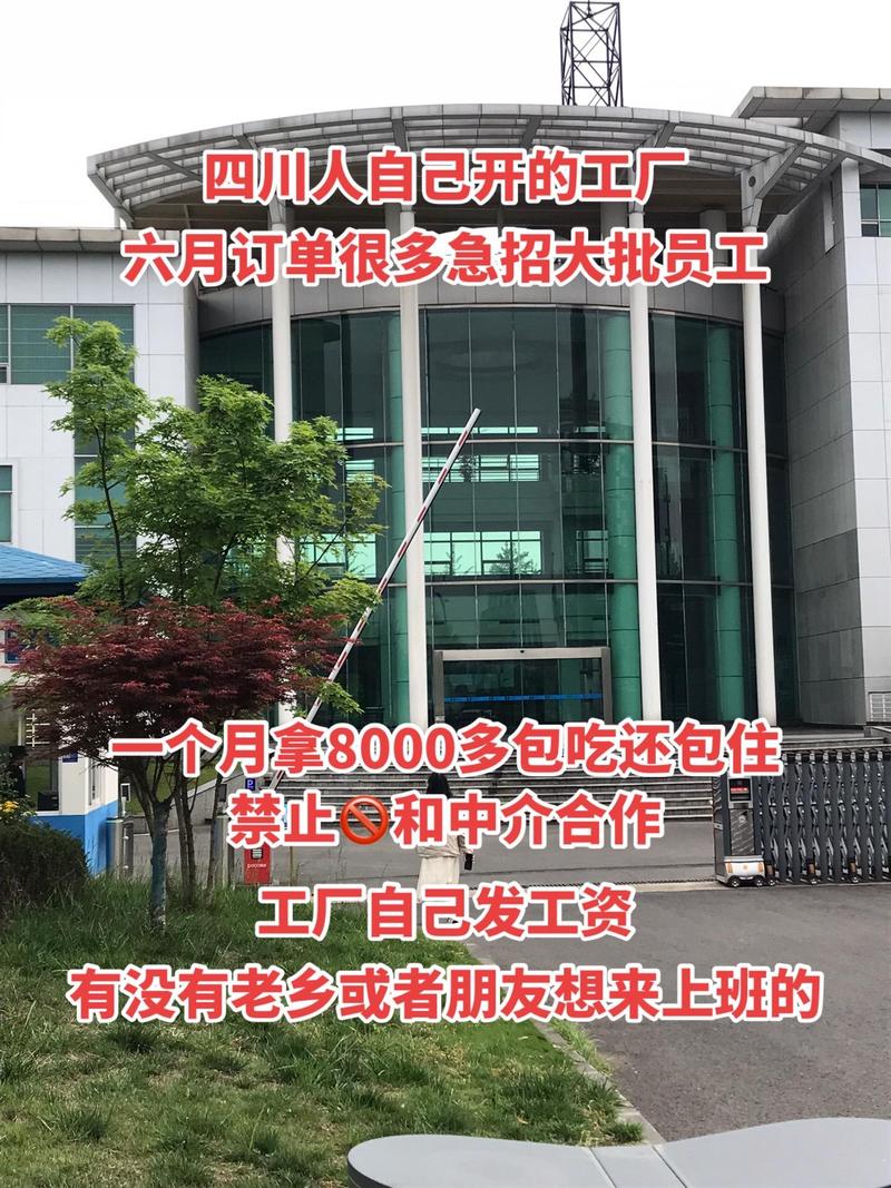 海口秀英區(qū)暉熙宇信息咨詢服務(wù)部:#成都找工作 #男女不限 #長白班坐班
